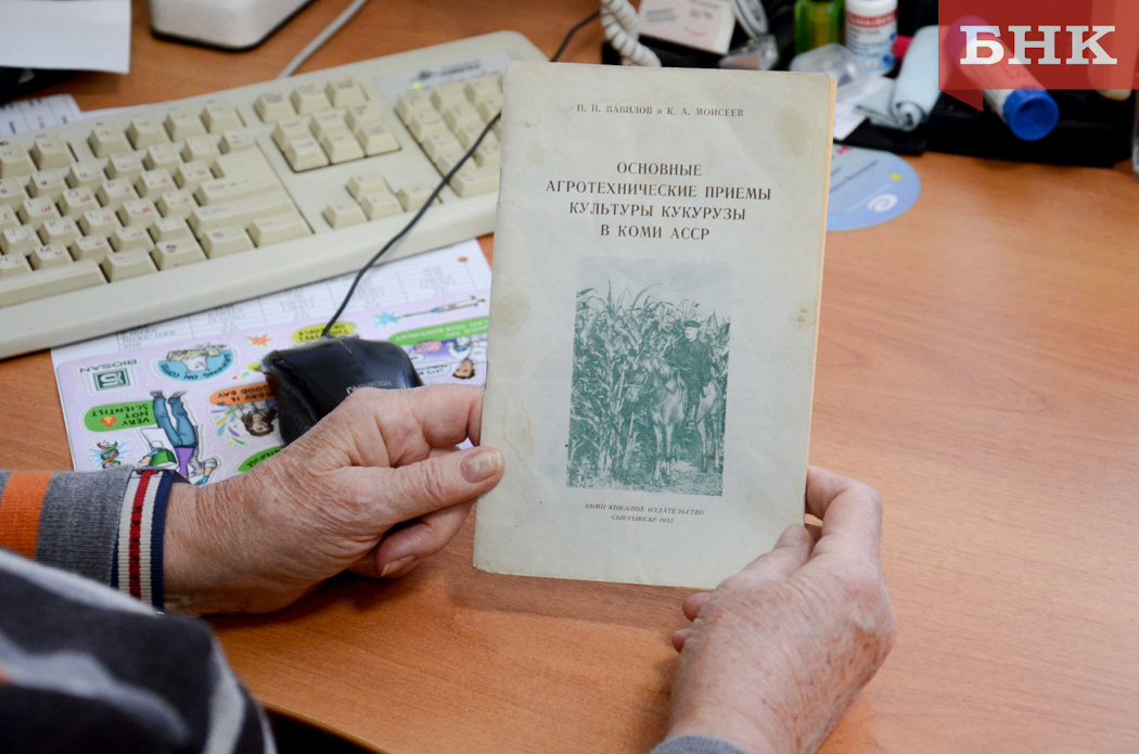 DSC_0251.jpg DSC_0251.jpg