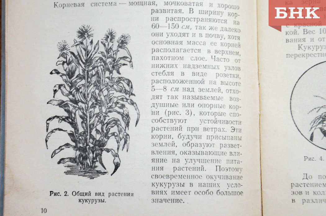 DSC_0267.jpg DSC_0267.jpg