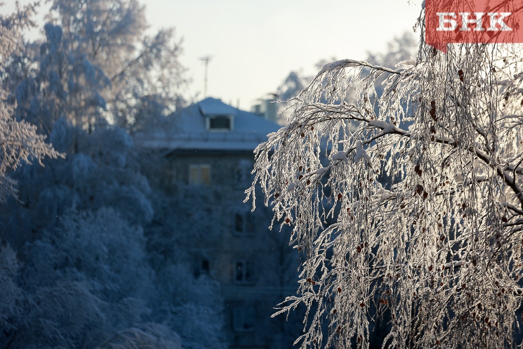 Морозный туман накрыл север Коми