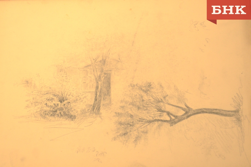 DSC_0118.jpg DSC_0118.jpg