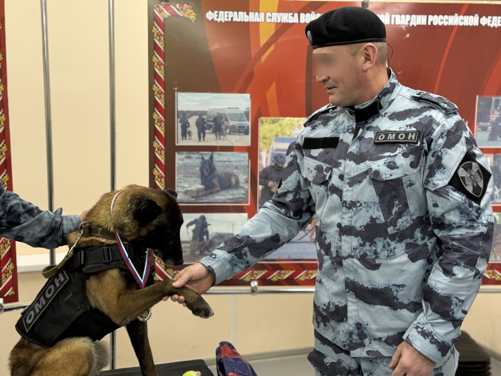 В Сыктывкаре собаку проводили на пенсию и наградили медалью