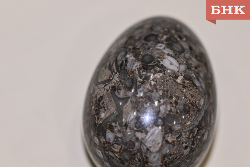 Мельчайшие зубы, огромные одноклеточные и медузы с панцирем: какой была микрофауна республики миллионы лет назад