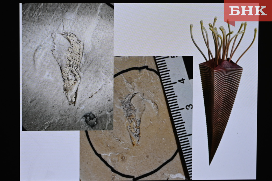 Z06_0166.jpg Z06_0166.jpg