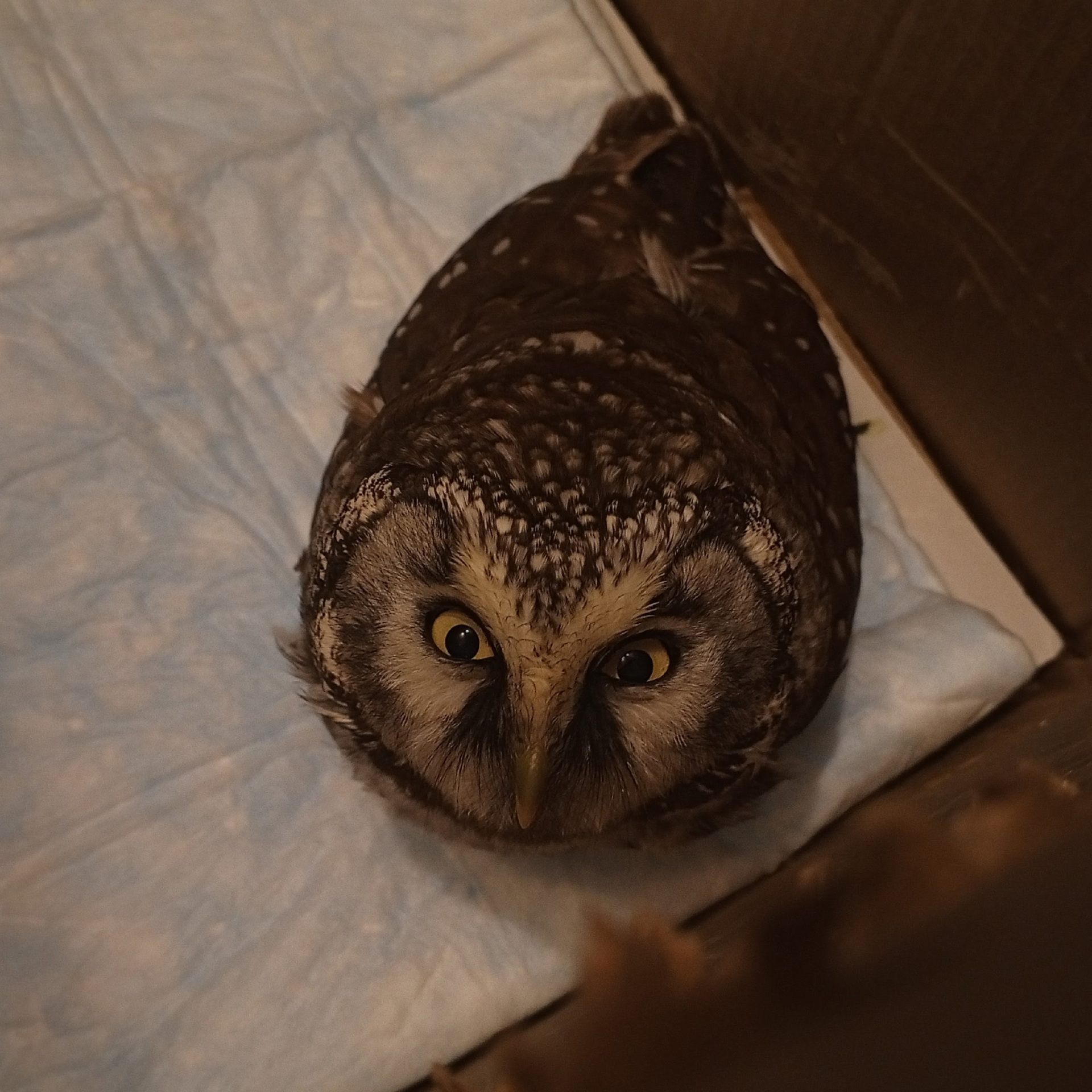 WbC1oqzKAmZijybNTqqj6lTzE60DDpbCzLJjvc4EbOcOU__0Kt5aUO1dRMQC6YfNQ9trSeQ6M0NrYnCH6vAWeBaf.jpg WbC1oqzKAmZijybNTqqj6lTzE60DDpbCzLJjvc4EbOcOU__0Kt5aUO1dRMQC6YfNQ9trSeQ6M0NrYnCH6vAWeBaf.jpg