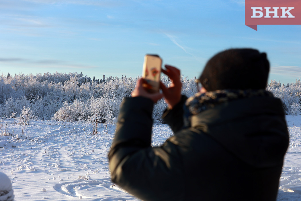 В краю «Корабельной чащи» Пришвина появилась связь МТС