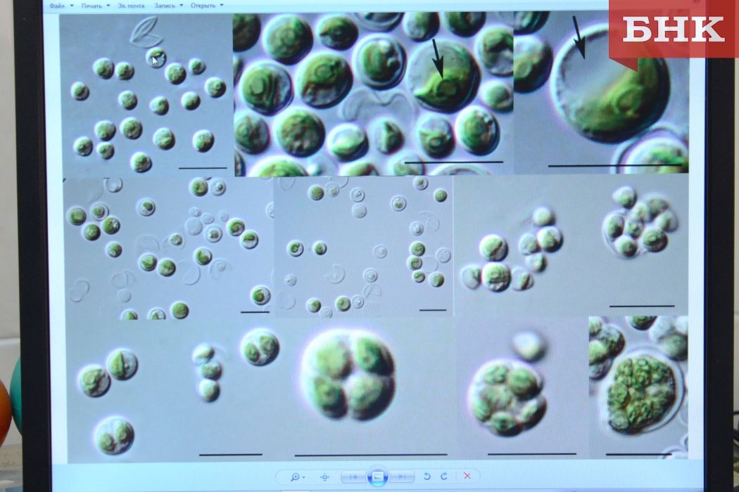 DSC_0060-1.jpg DSC_0060-1.jpg