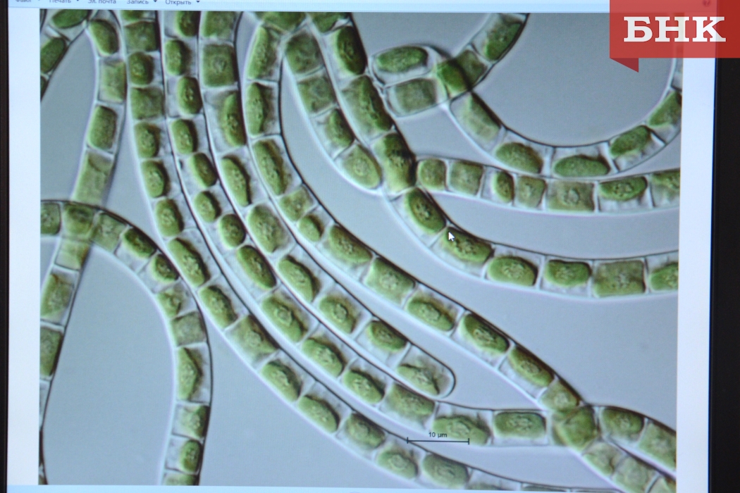 DSC_0071-1.jpg DSC_0071-1.jpg