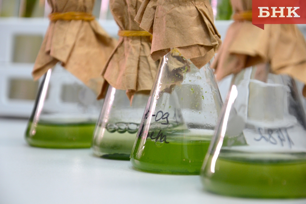 DSC_0114-1.jpg DSC_0114-1.jpg