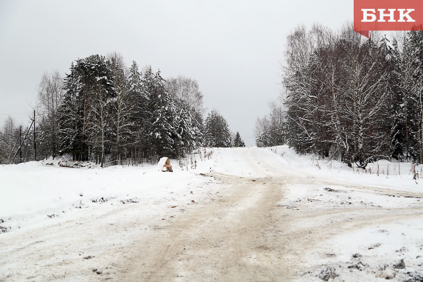 Архангельскому предприятию суд запретил вывозить древесину из Коми