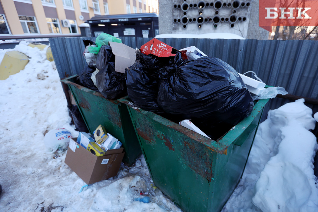 Жителям Коми рассказали про опасные отходы на контейнерных площадках