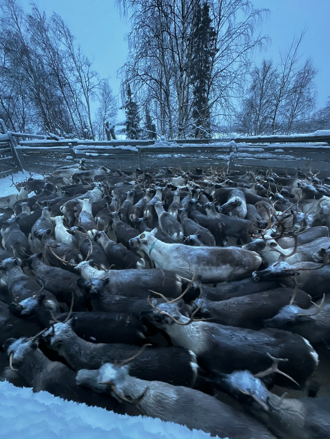 uF8p0MRDgxO-1SR15tBJv3C4hRnw3gHjPUu0Ghynikz2mPpdqvVJZ5A_FPi9hpRZuRZ0BrERCHyReURHnJoT8UiV.jpg uF8p0MRDgxO-1SR15tBJv3C4hRnw3gHjPUu0Ghynikz2mPpdqvVJZ5A_FPi9hpRZuRZ0BrERCHyReURHnJoT8UiV.jpg