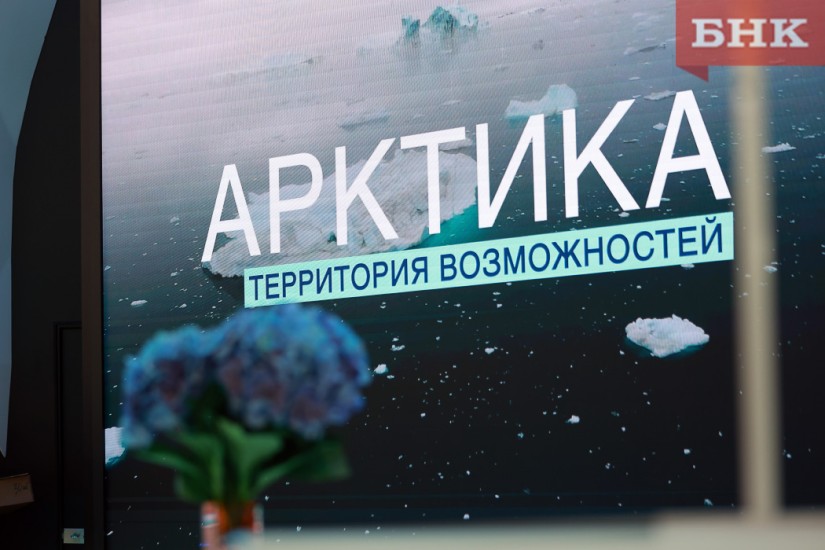 Арктическими резидентами в 2025 году стали 10 организаций из Коми