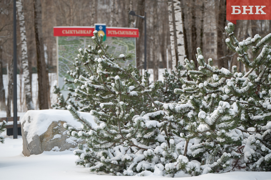 Жителям Коми рассказали о посадках в феврале