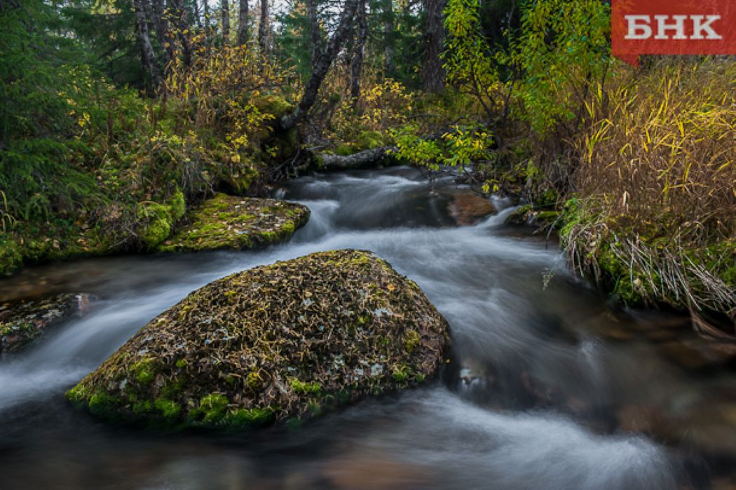 В Коми выставили на торги участок недр с россыпным золотом