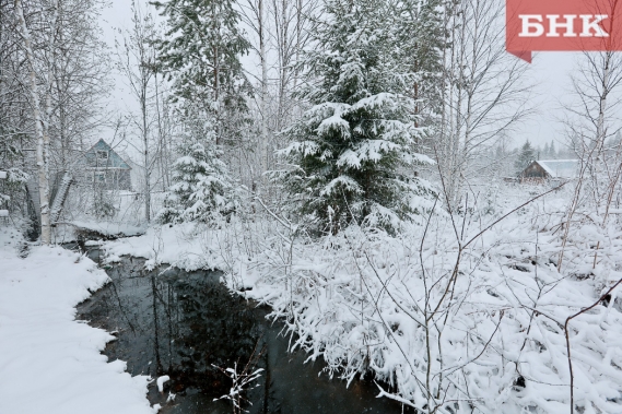 Какой будет погода в Коми 8 февраля