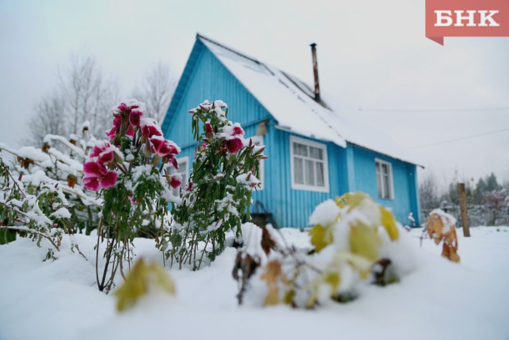 Синоптики предупредили об опасном агрометеорологическом явлении в южных районах Коми