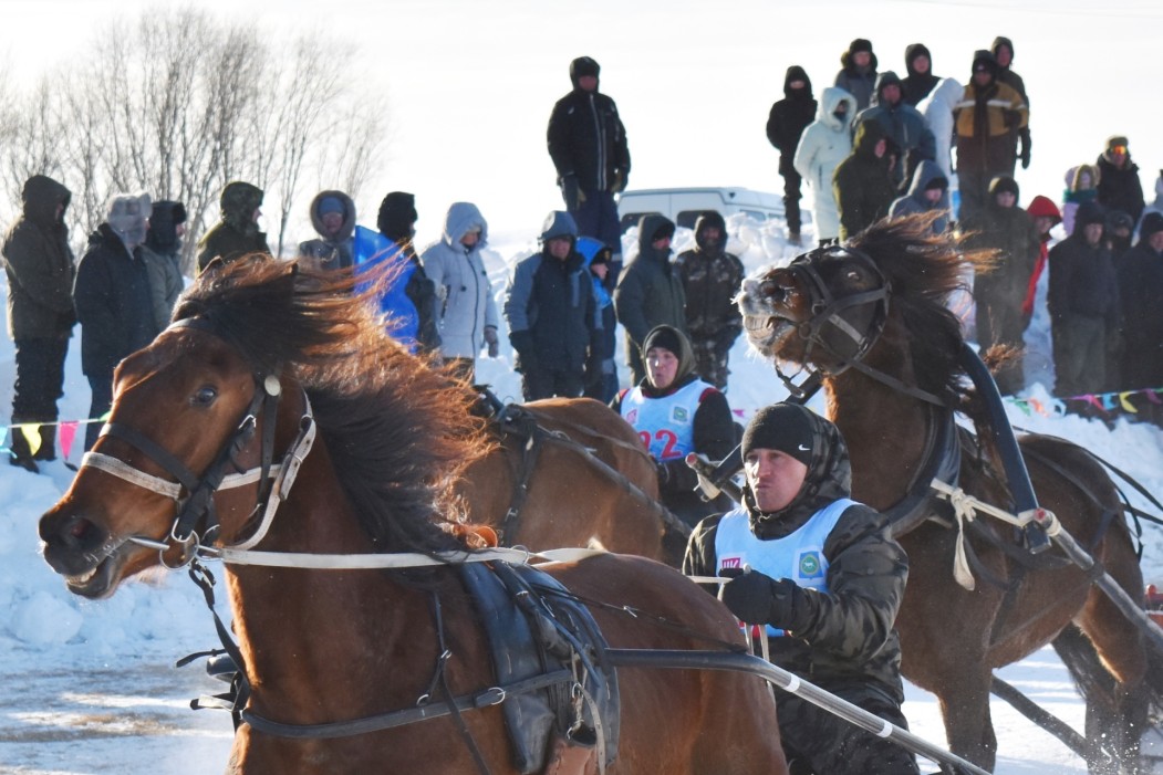 Конные скачки подтверждают статус ведущего бренда Ижемского района