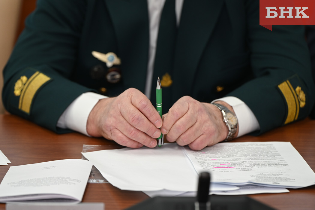 Леса Коми — в здоровом санитарном состоянии, заявили в Рослесозащите