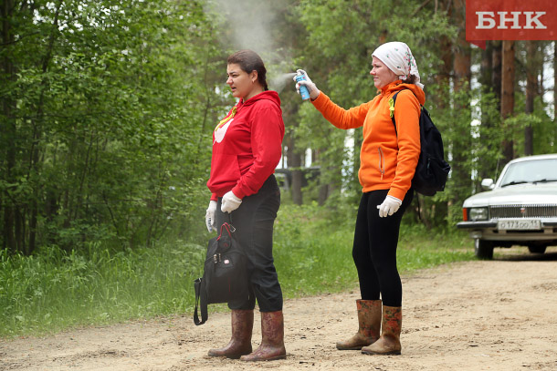 Аномальное нашествие комаров и клещей ожидается весной