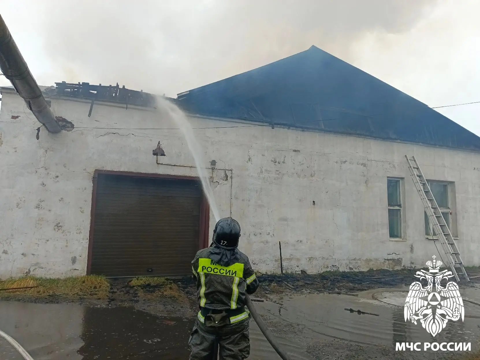 IMG_20260404_133922.png IMG_20260404_133922.png