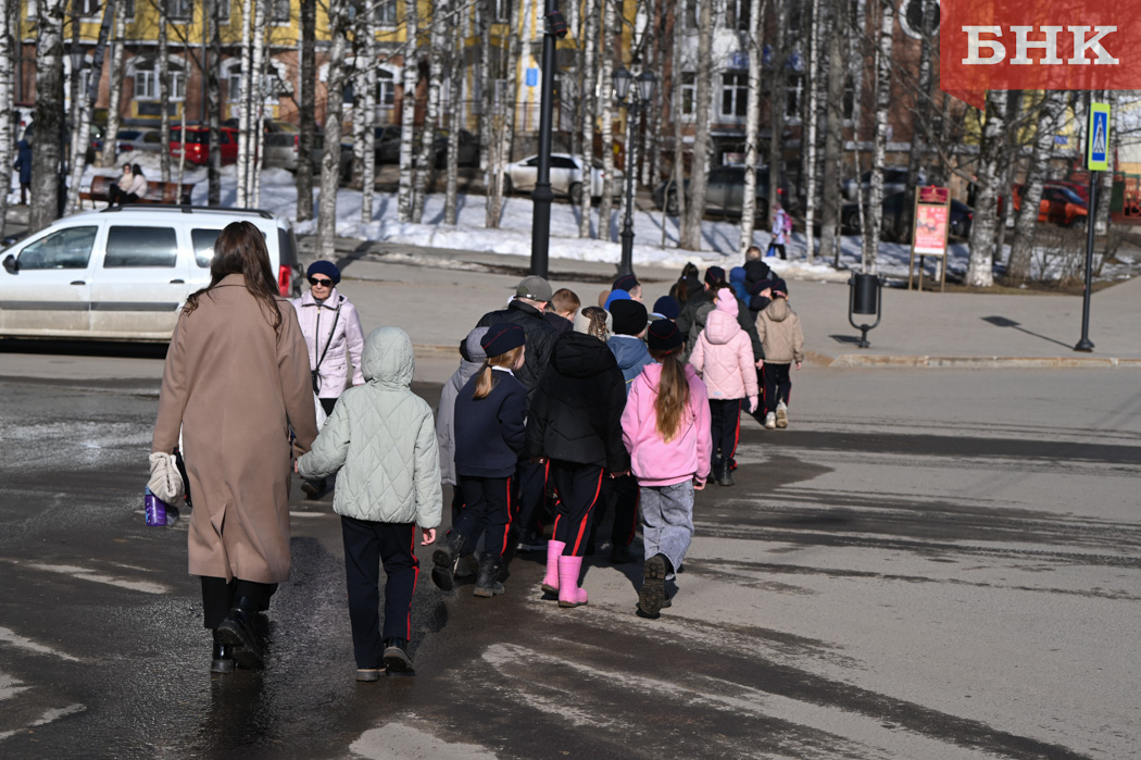 В Соцфонде назвали размер пособия на ребенка в Коми