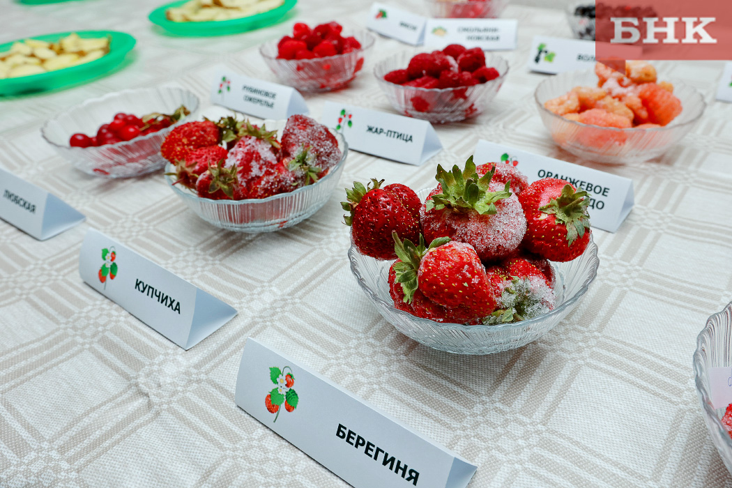 Эксперты назвали 14 продуктов-рекордсменов по витаминам и минералам