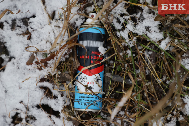 Девять пострадавших от укусов клещей в Коми были привиты