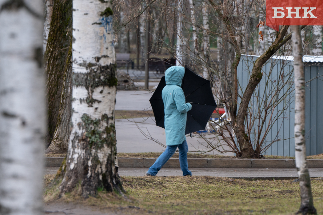 В Ухте, Сосногорске и Вуктыле ждут ливни
