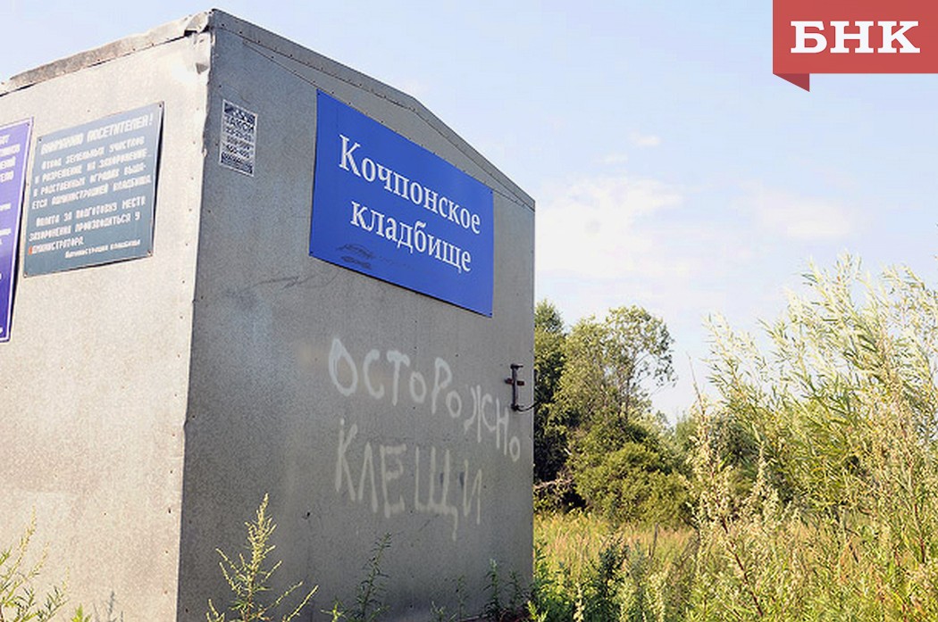 Биолог объяснил негативные последствия исчезновения клещей