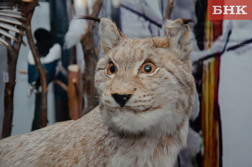 DSC_0269.jpg DSC_0269.jpg