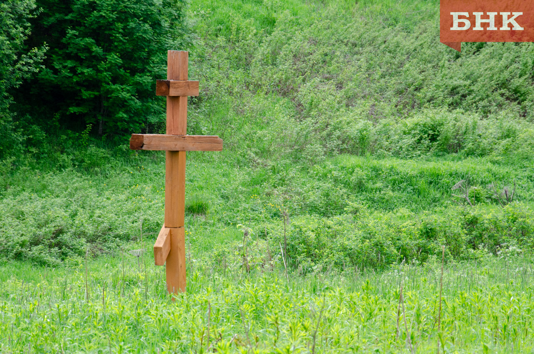 DSC_0509.jpg DSC_0509.jpg