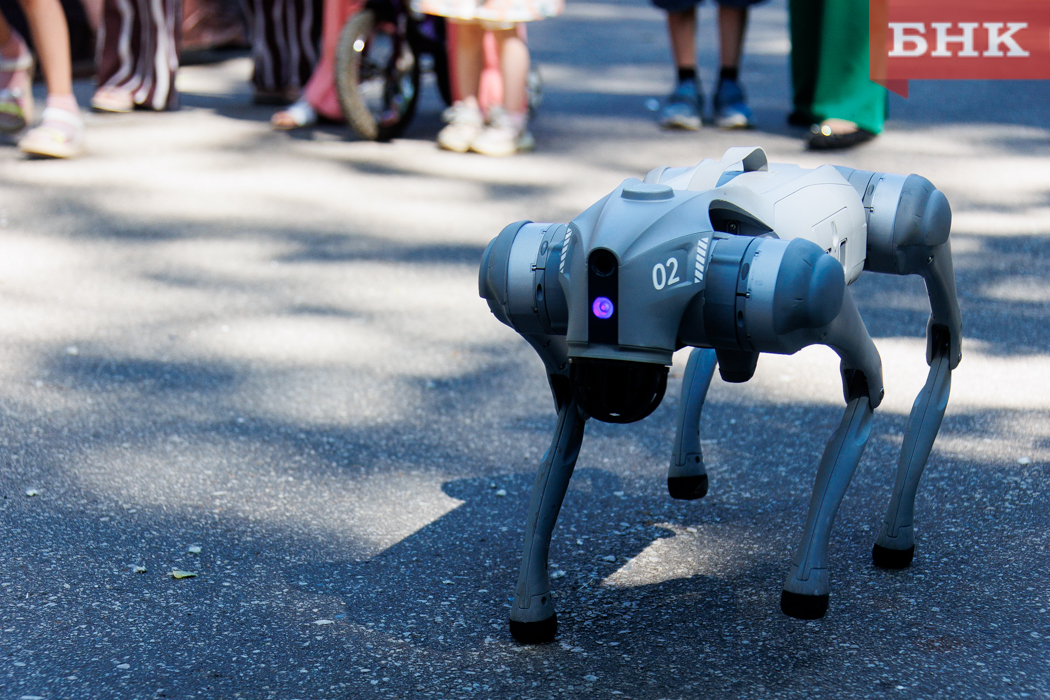 _MG_0059.jpg _MG_0059.jpg