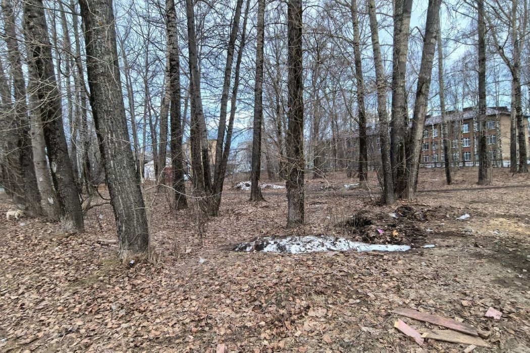 В Сыктывкаре только три общественные территории получат деньги на благоустройство