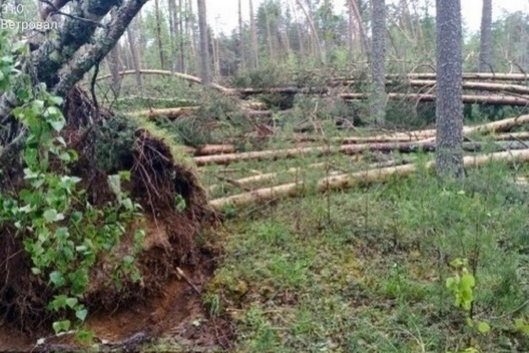 Ущерб от гигантского смерча в Коми оценят по снимкам из космоса