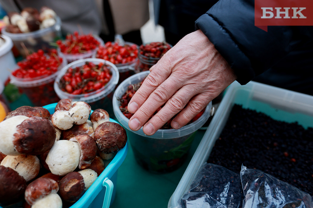 Роспотребнадзор не нашел радиоактивных продуктов в Коми