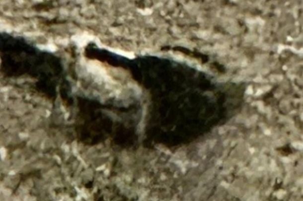 016-2.jpg 016-2.jpg