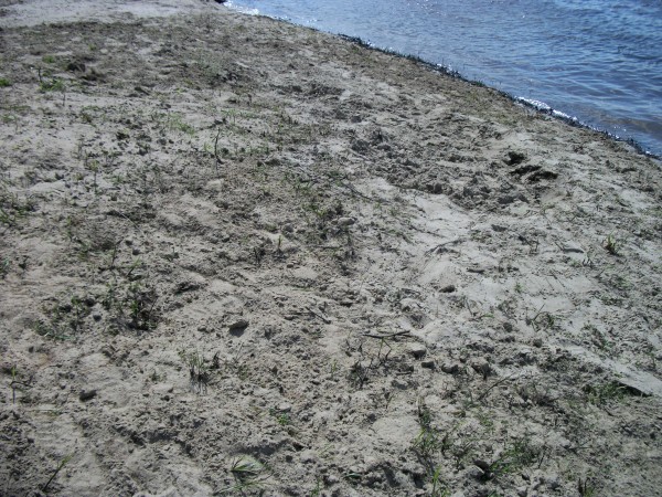 16110_600.jpg 16110_600.jpg