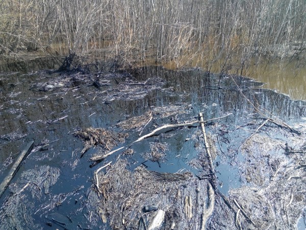 17401_600.jpg 17401_600.jpg