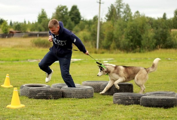 zQIpM2o1cQs.jpg zQIpM2o1cQs.jpg