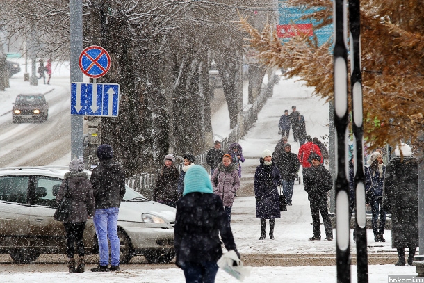 ANT_1679.jpg ANT_1679.jpg