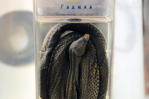 KIR_7467.jpg KIR_7467.jpg