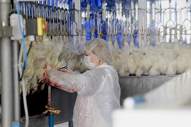 KIR_1280.jpg KIR_1280.jpg