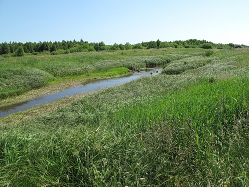 Severo-Ekaterininskii-kanal.jpg