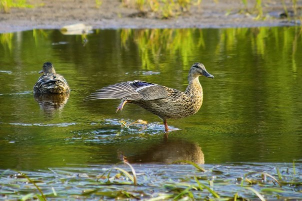 nDBG6oeJYbk.jpg nDBG6oeJYbk.jpg