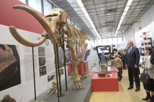 RGO_-3.JPG RGO_-3.JPG