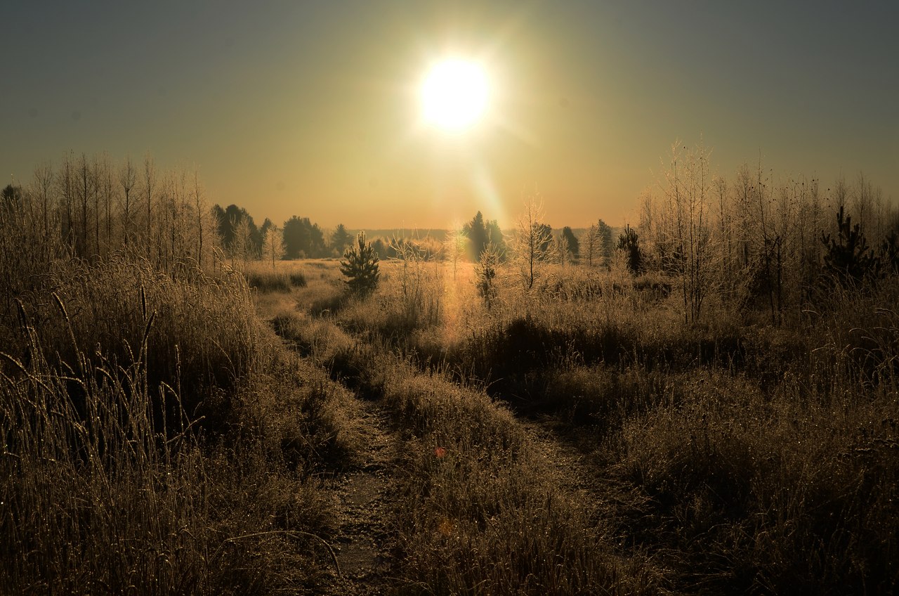 gxqYQ3-yQtU.jpg gxqYQ3-yQtU.jpg