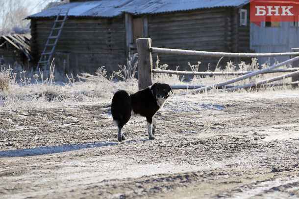 ANT_0403.jpg ANT_0403.jpg