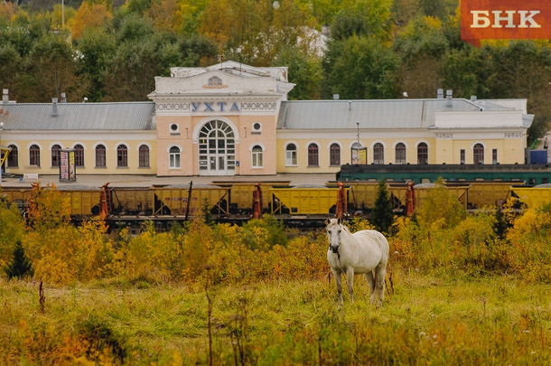 KIR_5390.jpg KIR_5390.jpg