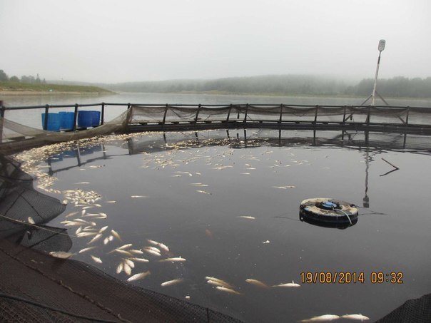 Kaghymskom-vodohranilische.-gazeta--Novaya-ghizn.jpg Kaghymskom-vodohranilische.-gazeta--Novaya-ghizn.jpg