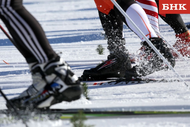 ANT_2391.jpg ANT_2391.jpg